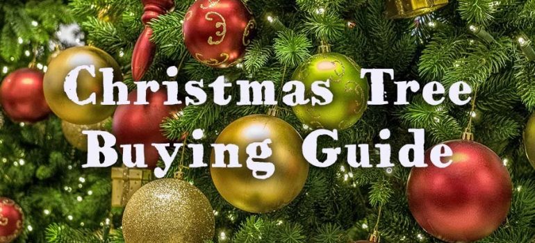 Buying a Real Christmas Tree: Full Guide for Choosing the Perfect Tree ...