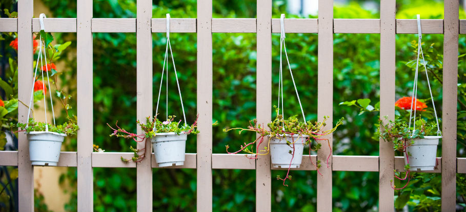 maximum height of garden fence with trellis