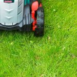 mower trimming wet grass
