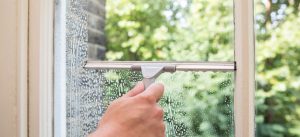 window cleaning guide domestic