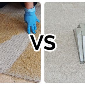 Steam Cleaning Carpets vs Shampooing | Fantastic Services Blog