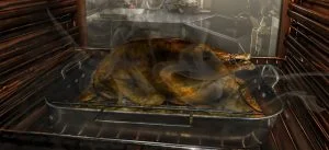 burned chicken in oven