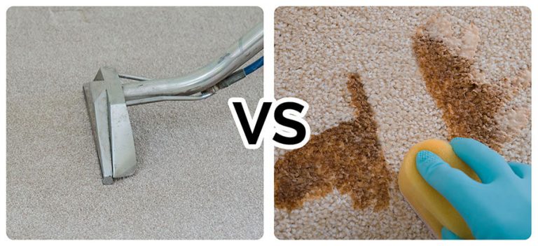 Effective Methods To Clean Dried Cat Urine From Carpet Fs Uk