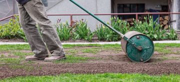 a gardener shows how to level out a bumpy lawn