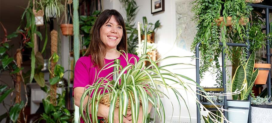 How to Propagate Spider Plant Babies