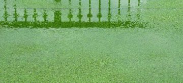 drainage problems with artificial grass