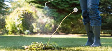 spraying weed killer