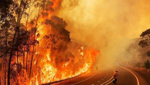 fire in australian forest