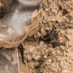 How to improve clay soil, muddy boots