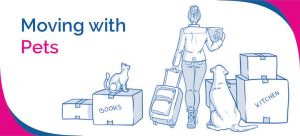 moving house with pets drawing