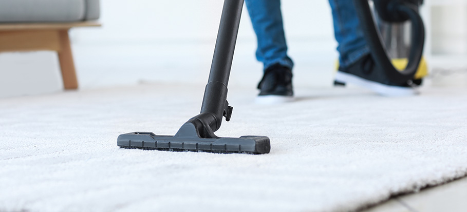 Same Day Carpet Cleaning services in Black Mountain