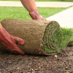 How much to turf a lawn