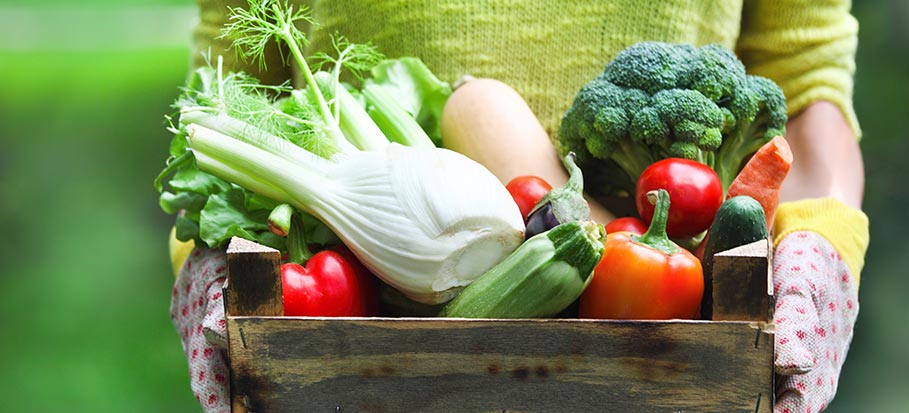 woman holding garden vegetables