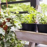 make your own small space vegetable garden