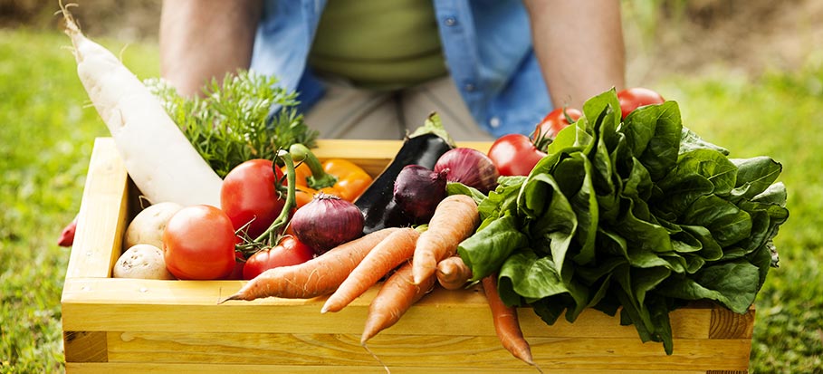 Cost-effective vegetables to grow in your garden