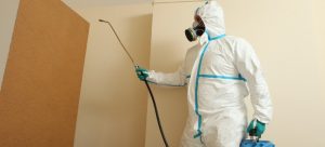 can-pest-controllers-visit-your-home-during-coronavirus-lockdown