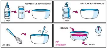 drawing of recipe neem oil