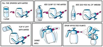 drawing of homemade garden spray