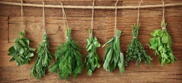 herb gardening