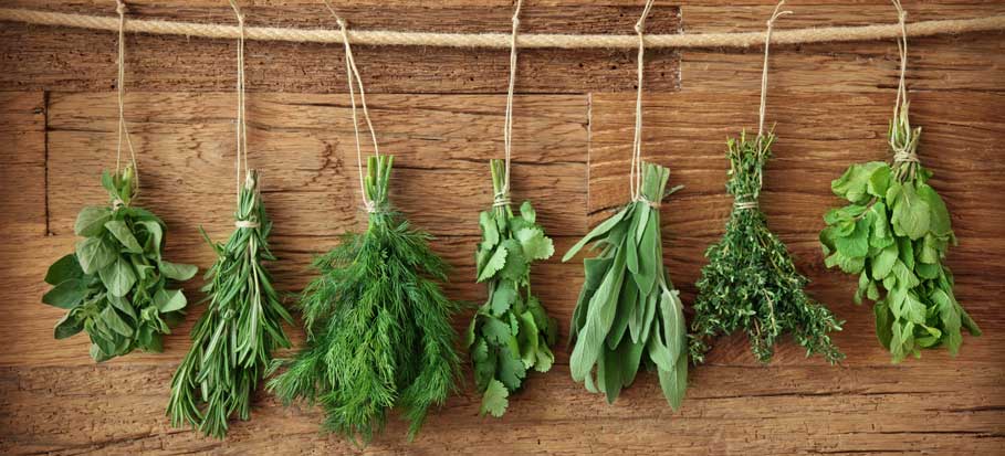 herb gardening