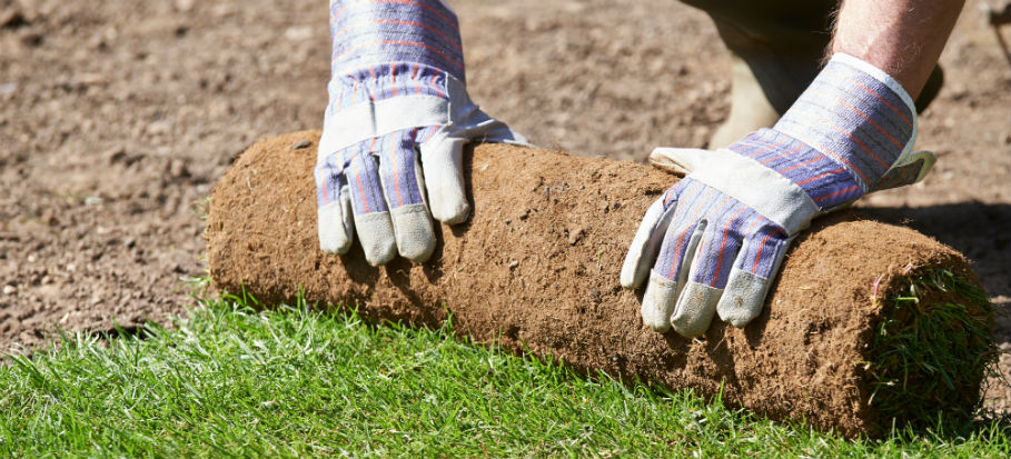 hands in gloves laying turf