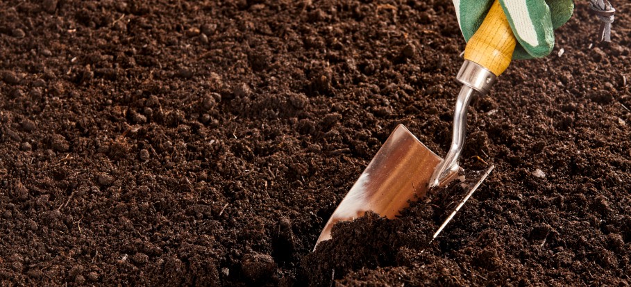 preparing soil 