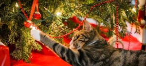 A cat playing with a Christmas tree
