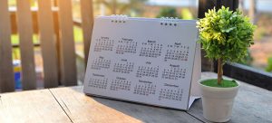 gardening calendar uk