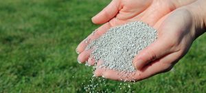 hands holding lawn fertiliser