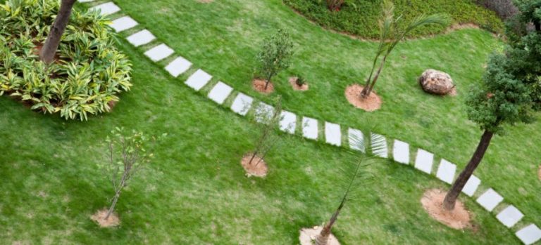 How to Point Paving Slabs: A Step-by-Step Guide for Perfect Results ...