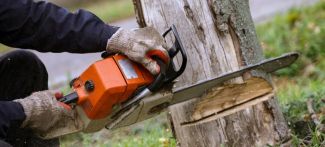 man cutting a tree with chainsaw