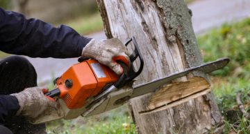Cutting tree with chainsaw