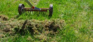 scarifying a lawn