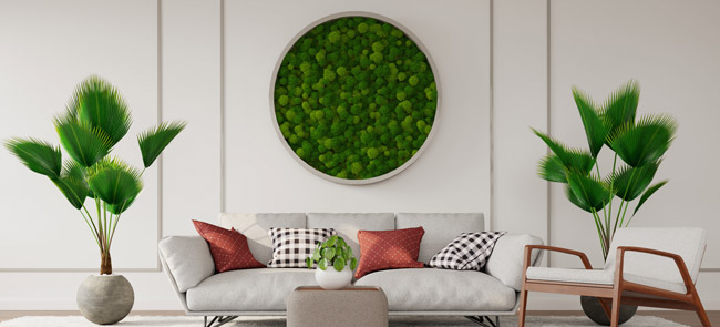 indoor moss wall decoration