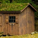 Green roof on a shed