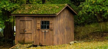 Green roof on a shed