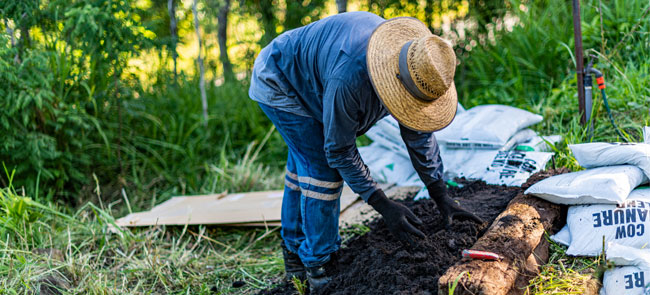 no-dig gardening guide