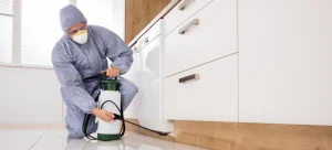 Pest control price