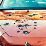A close up on a car badly pooped by birds