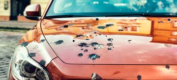 A close up on a car badly pooped by birds