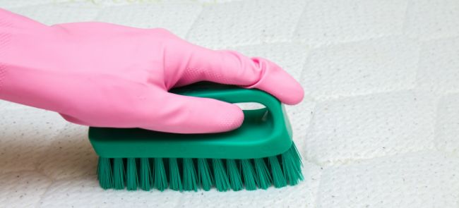 A professional cleaner using a brush to clean a mattress