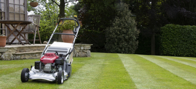 a lawnmower on a stripped lawn