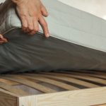 Can bed bugs live in wood furniture