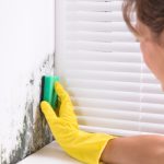 who is responsible for cleaning mould in rental property