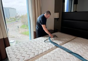 Fantastic professional cleaning a mattress