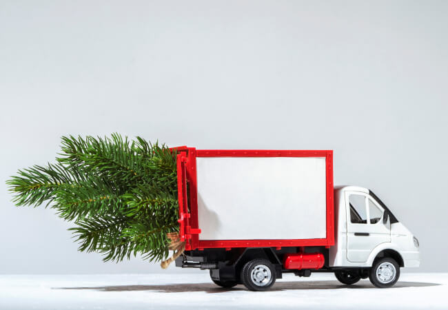 Red cargo van carrying a Christmas tree