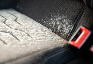 Mould on car seat