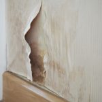 Brown mould damage on wall