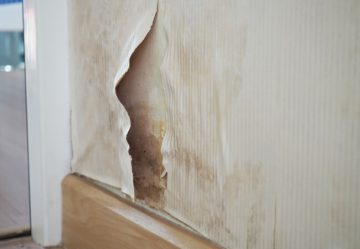 Brown mould damage on wall