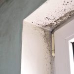 Mould near windows